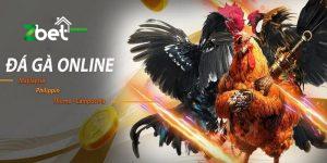 Đá Gà Online - Lưu Ý Quan Trọng Cho Người Mới Bắt Đầu