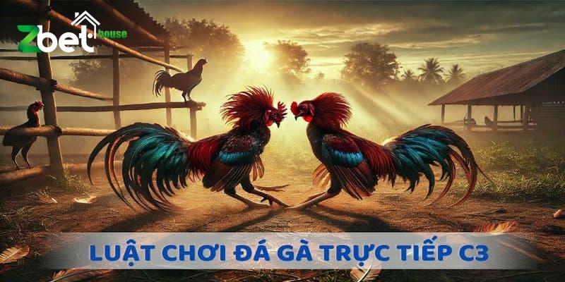 Chia sẻ luật chơi đá gà trực tiếp C3 dễ hiểu nhất