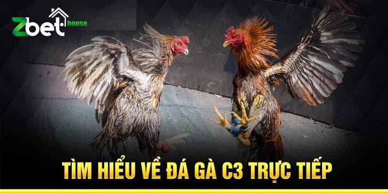 Tìm hiểu về đá gà trực tiếp C3